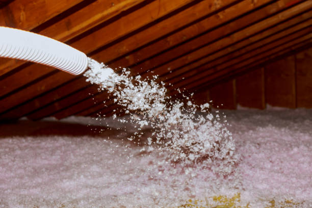 Best Insulation Maintenance and Repair in Blaine, TN