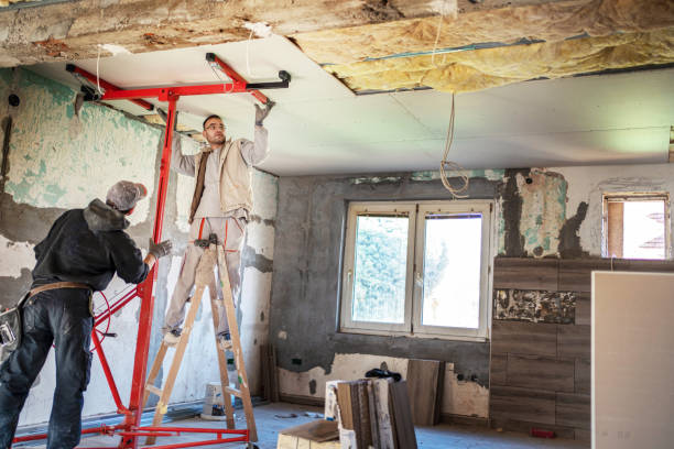 Best Geographic-Specific Insulation Services in Blaine, TN
